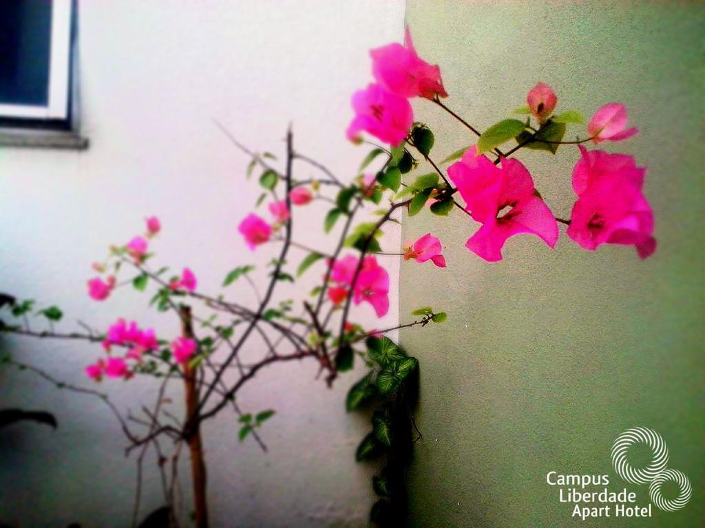 Campus Liberdade Flat Aparthotel Belo Horizonte Ngoại thất bức ảnh